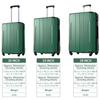 Hardshell Luggage Sets 3 Pcs Spinner Suitcase with TSA Lock Lightweight 20''24''28''