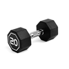 20LBS APOLLO IR3920 Premium Octagonal Dumbbell, Large Numbers, Hard Chrome Plated Handle Dumbbells To Assist with Push-Ups