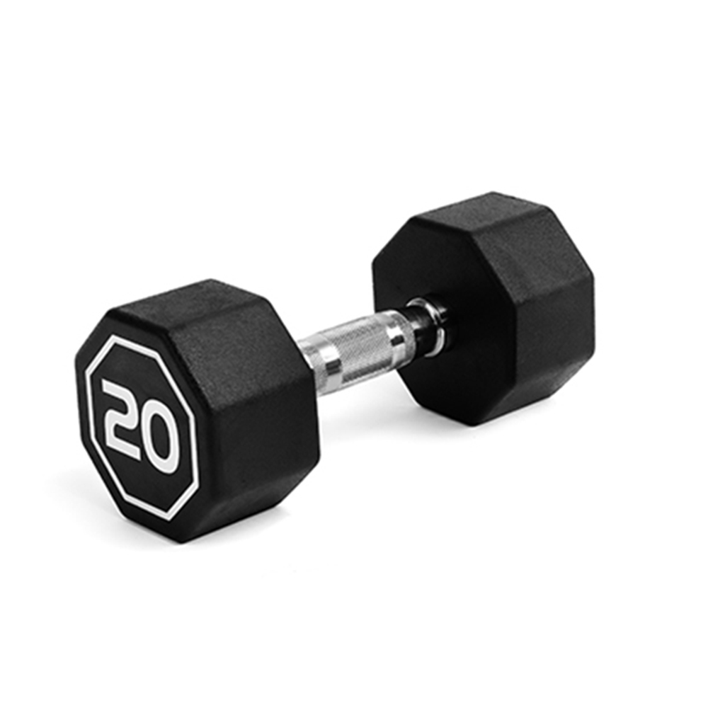 20LBS APOLLO IR3920 Premium Octagonal Dumbbell, Large Numbers, Hard Chrome Plated Handle Dumbbells To Assist with Push-Ups