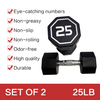 APOLLO IR3920 Premium Octagonal Dumbbells, Large Numbers, Hard Chrome Plated Handle Dumbbells To Assist with Push-Ups, 25 Lbs Set of 2