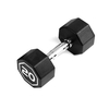20LBS APOLLO IR3920 Premium Octagonal Dumbbell, Large Numbers, Hard Chrome Plated Handle Dumbbells To Assist with Push-Ups