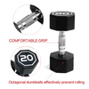 20LBS APOLLO IR3920 Premium Octagonal Dumbbell, Large Numbers, Hard Chrome Plated Handle Dumbbells To Assist with Push-Ups