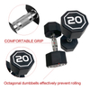 APOLLO IR3920 Premium Octagonal Dumbbell, Large Numbers, Hard Chrome Plated Handle Dumbbells To Assist with Push-Ups, 20 Lbs Set of 2