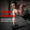 30LB (2piece)HDRS Rubber Coated Solid Cast Iron Dumbbell with Contoured Chrome Handle, Hexagon Head