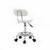 Round Shape Adjustable Salon Stool with Back And Line White