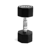 20LBS APOLLO IR3920 Premium Octagonal Dumbbell, Large Numbers, Hard Chrome Plated Handle Dumbbells To Assist with Push-Ups